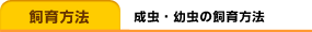 飼育方法